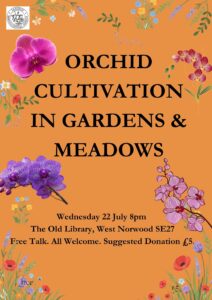 Free Talk: Orchid Cultivation in Gardens and Meadow
