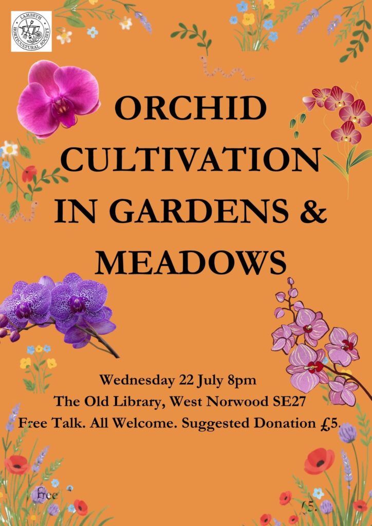 Free Talk: Orchid Cultivation in Gardens & Meadows