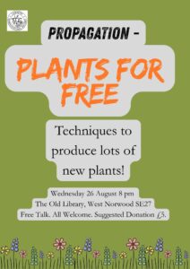 Free Talk: Propagation – Plants for Free