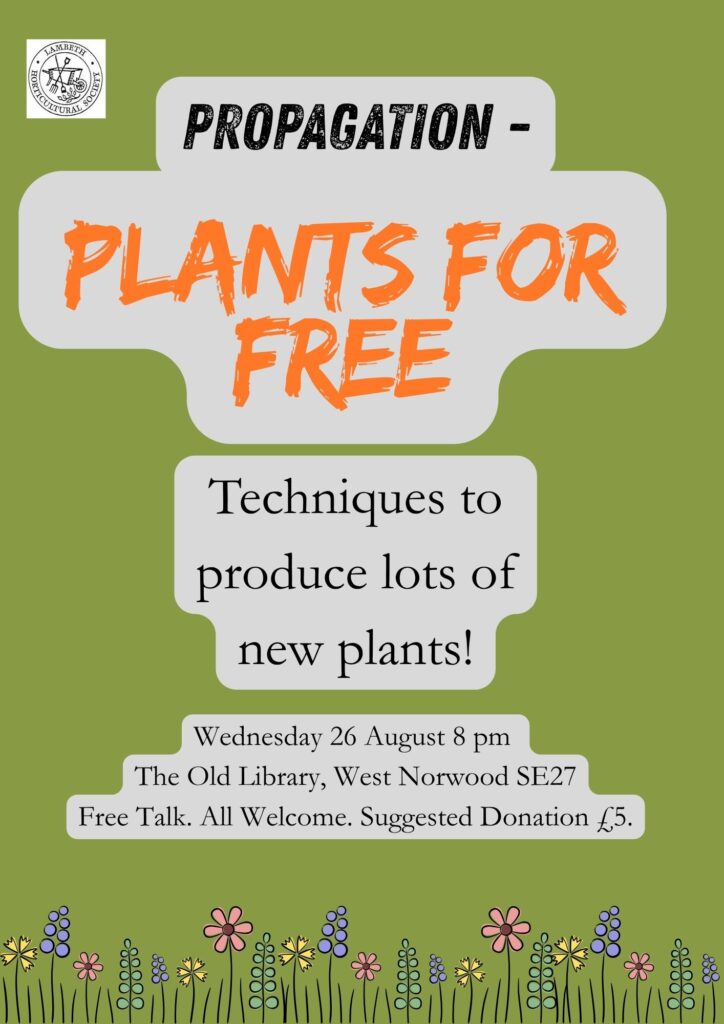 Free Talk: Propagation – Plants for Free