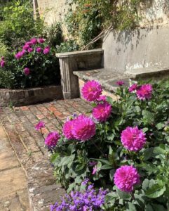 Pashley Manor Gardens – LHS Outing