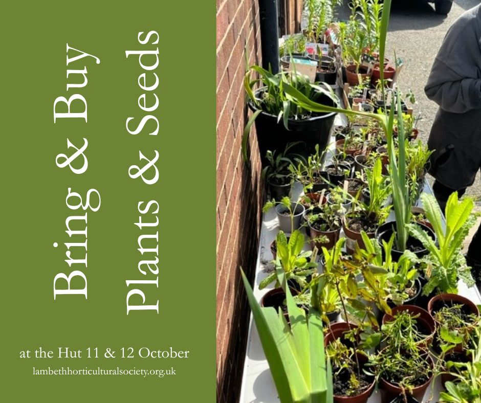 Bring & Buy 11th & 12th October