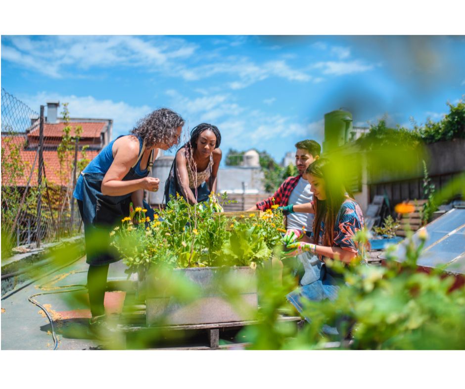 New LHS Wildlife Gardening Group
