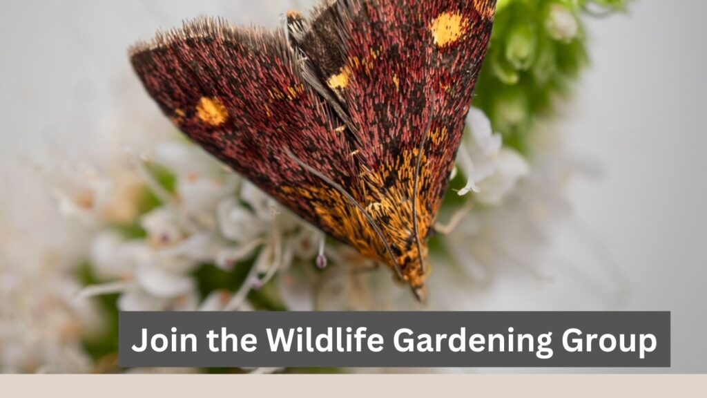 WILDLIFE GARDENING GROUP 2026