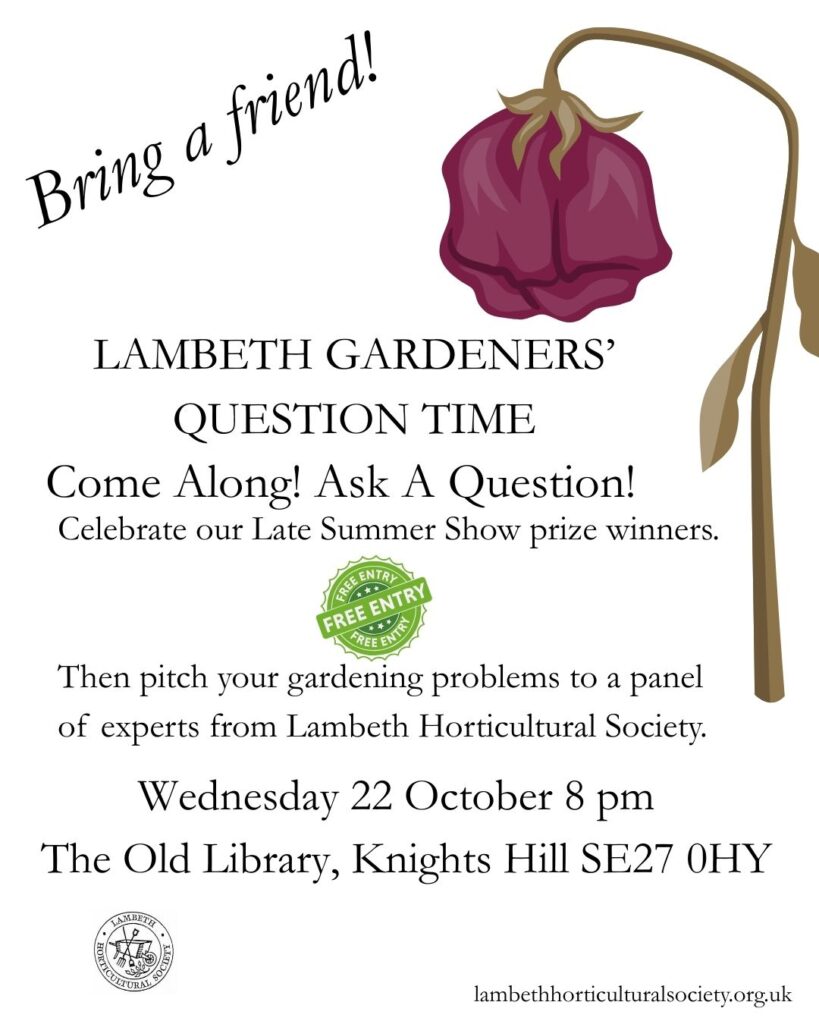 WEDNESDAY 26 NOVEMBER: PRIZES + GARDENERS QUESTION TIME!