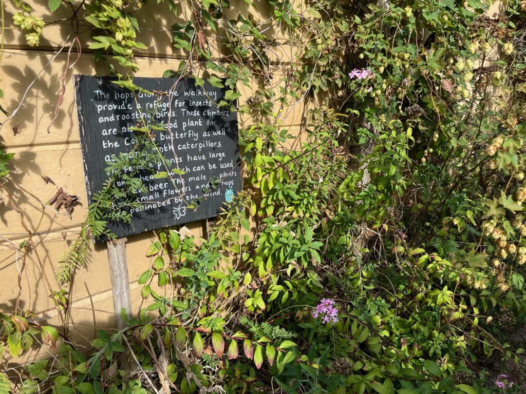 WGG trip to the Centre for Wildlife Gardening