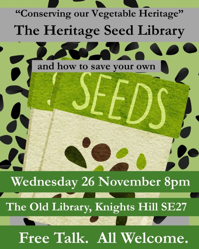WEDNESDAY 26 NOVEMBER: FREE TALK