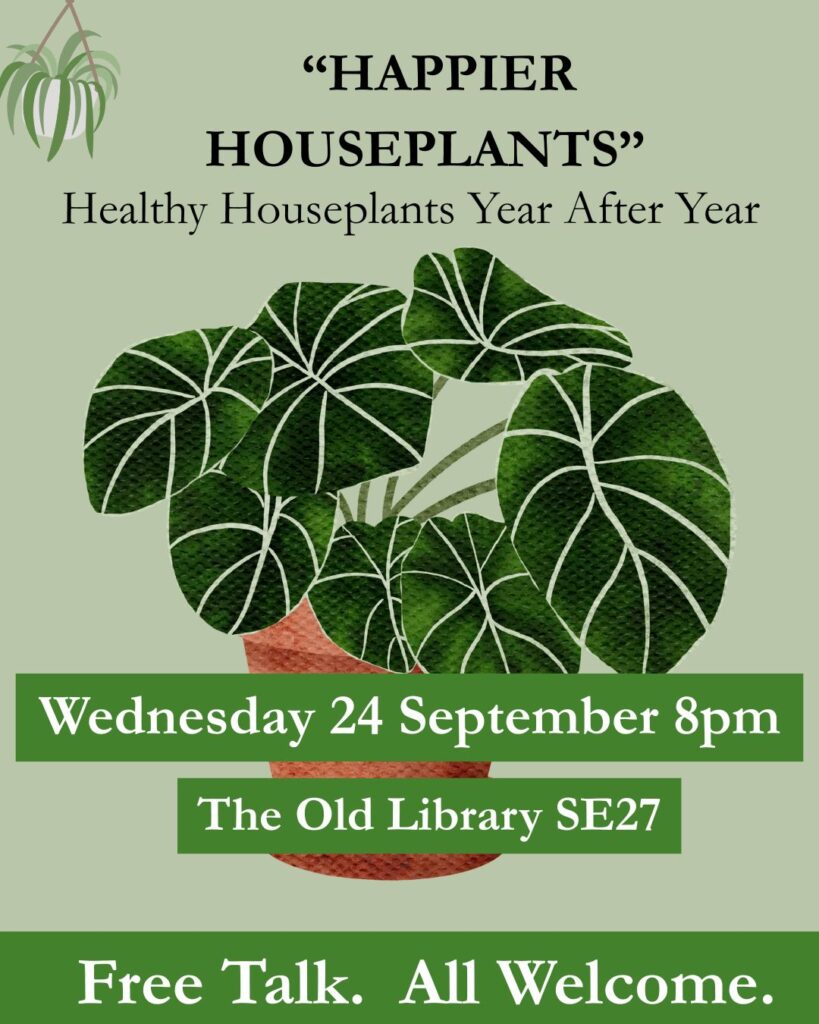 WEDNESDAY 24 SEPTEMBER: HOUSEPLANTS: FREE TALK