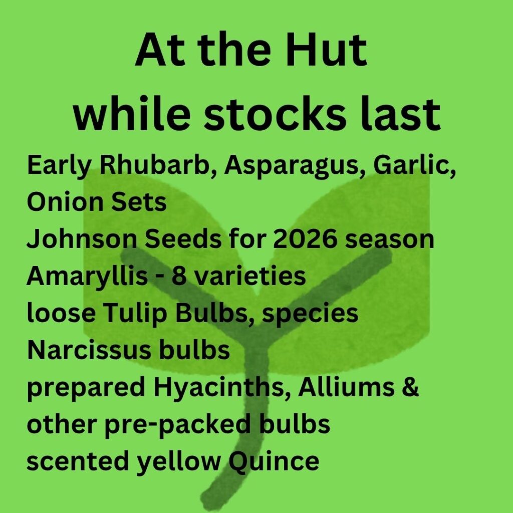 At the Hut in November