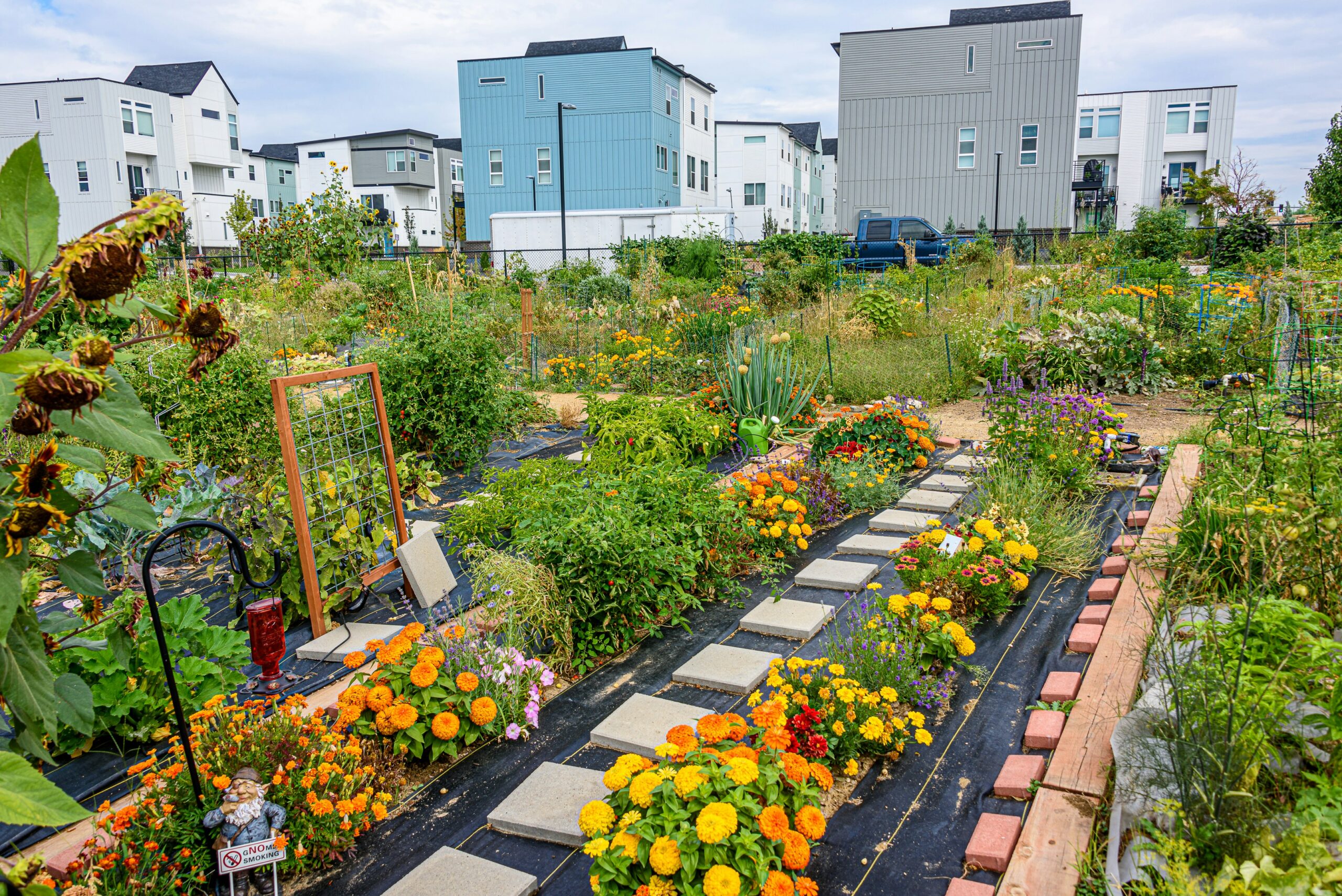 community-gardening-lambeth-horticultural-society