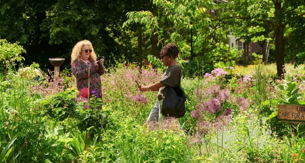 Wildlife Gardening Group Update – Roots & Shoots