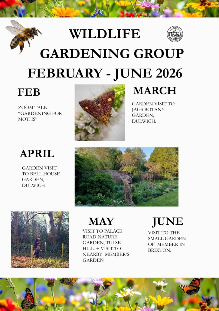 WGG Events Programme February – June 2026