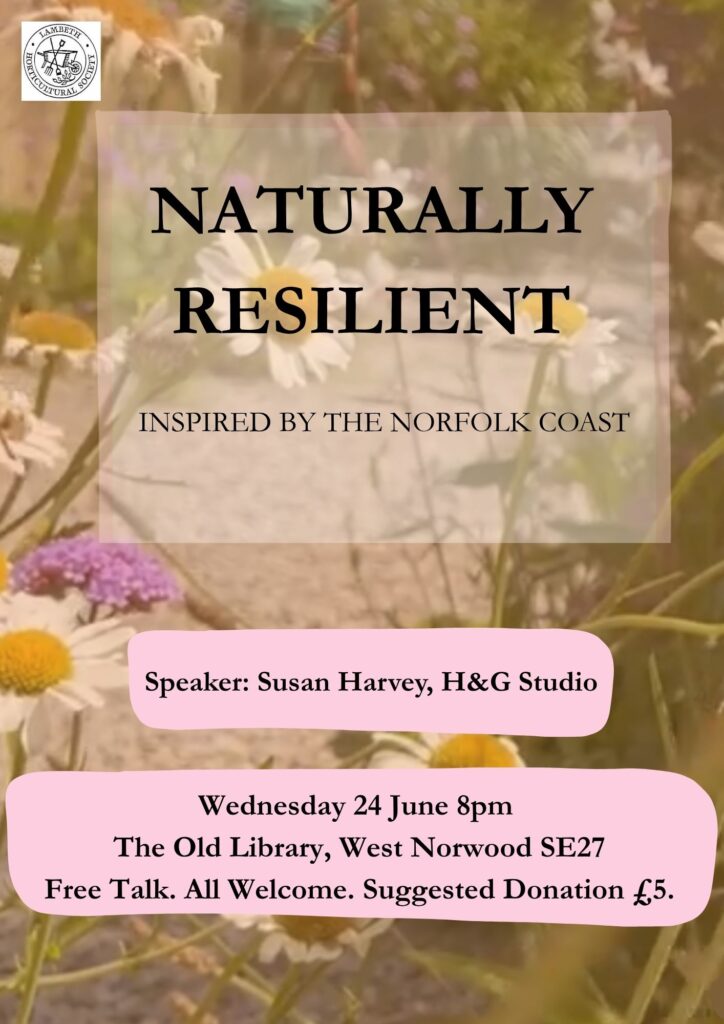 Free Talk: Naturally Resilient: Inspired by the Norfolk Coast