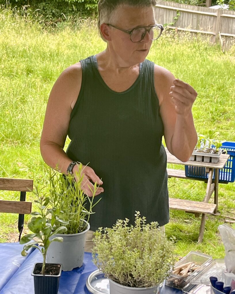 Propagation – a softwood cuttings workshop