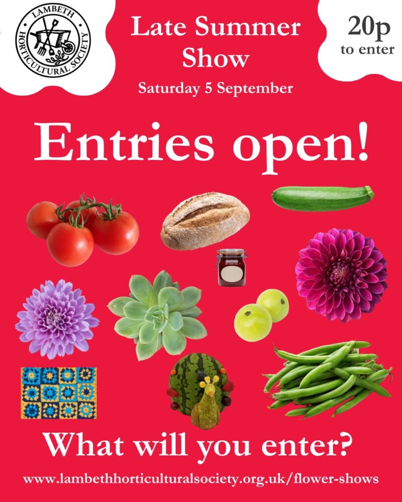 Late Summer Show 5 September