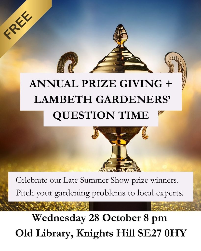 WEDNESDAY 28 OCTOBER: Autumn Social