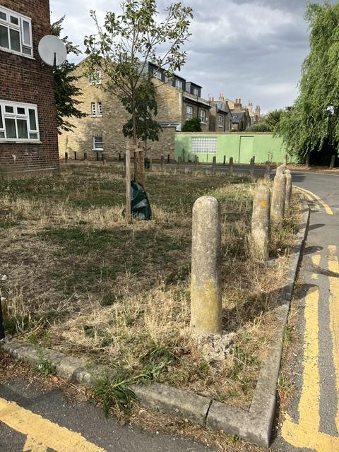 WGG Update: Effra Green Streets